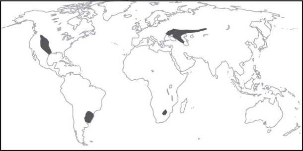 map of the world